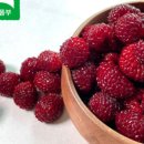 장고농장 이미지