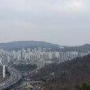 은평로데오 이미지