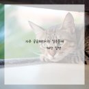 탄탄한의원 이미지