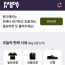 헤이HEY 이미지