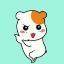 하나전자 이미지