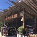 제이스타파트너스(주) | #6✈ 시드니 4박6일 여행 4일차 후기 꿀팁