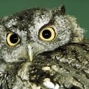 마곡박사공인중개사사무소 이미지