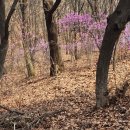본가옥해장국 | 등촌역 맛집 24시 가성비 밥집 본가전주옥등촌역점