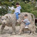 카카몽 애견미용실 | 가족나들이 가득한 육아일기 (ft. 내생일 포함)