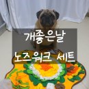 개좋은 이미지