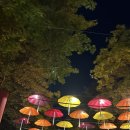 호박나이트 이미지