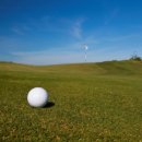 권율대로 894 이미지