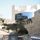 크루지아나 이미지