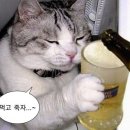 도쿄빙수 - 중구 중앙로164번길 20 | 도쿄빙수