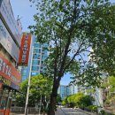 그린빌12단지.호수마을 이미지