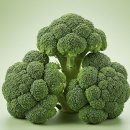 닥터데이빗 | 노화? 걱정돼서 시작했어요 – 닥터스탠다드 NMN 영양제 솔직 후기