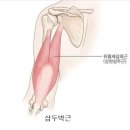 라인 벤치 이미지