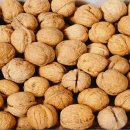 사)국제장애인문화교류서울노원구협회 이미지