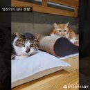 영진건강원 - 창녕군 창한로 127 | 영진건강원