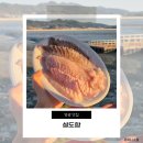 설도항 | 광주 근교 야장 회센터 설도항, 재방문으로 입증된 전남 영광 맛집