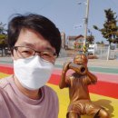 영랑호 카누경기장 이미지