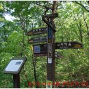 청풍리조트 힐하우스 이미지