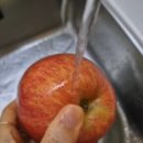 바이온텍 | 바이온텍 알칼리 이온수기 4개월 사용 후기