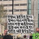 디에세오스타 이미지