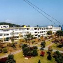 용문고등학교 Daum카페