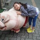 정다운정육점 이미지