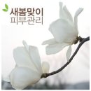 피부관리 - 군포시 | 피부관리