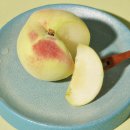 안홍섭농장 이미지