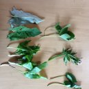 엄마네농장 이미지