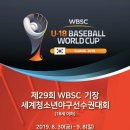 제29회 WBSC 세계청소년 야구선수권대회 자원봉사활동 이미지