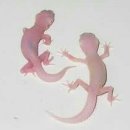 # 반려 동물 _ 레오파드 게코 역사 및 브리더 모프 후기 일지 기록