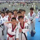 연세대태권도 이미지