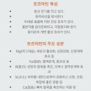 토르미
