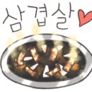 거제비타민씨 이미지