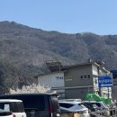 단양구경시장(단양인정시장) | 단양 구경시장 맛집 백향담 떡갈비 석갈비 리얼 후기