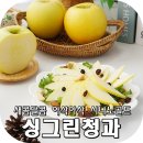 그린청과 이미지