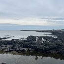 성산농장3 이미지