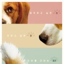 안녕, 펫 이미지