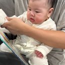 정글광고 | 어스본 정글 사운드북 후기, 4개월 아기는 이런 반응입니다