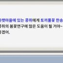 뮤즈랜드