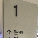 로라펫 하우스 이미지