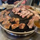 마마롱 티스토리