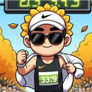 남승룡길 | 완주후기 | 남승룡마라톤 하프 ft. 순천만의 가을을 달리다.