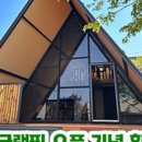 리틀 포레스트