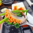 여수 웅천 맛집 술집 횟집 쭈꾸미 샤브샤브 🦑동네방네🦑 내돈내산