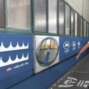 비엔코리아 이미지