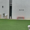 레인바우 이미지