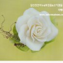 가드니아일산