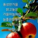 달빛 기도 이해인 이미지