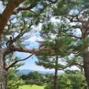 산록가든 이미지